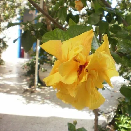 Otel Minoa